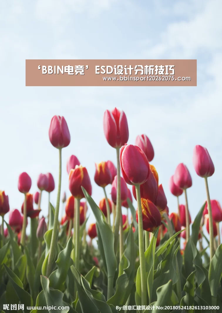 ‘BBIN电竞’ESD设计分析技巧(图3) BBIN电竞
