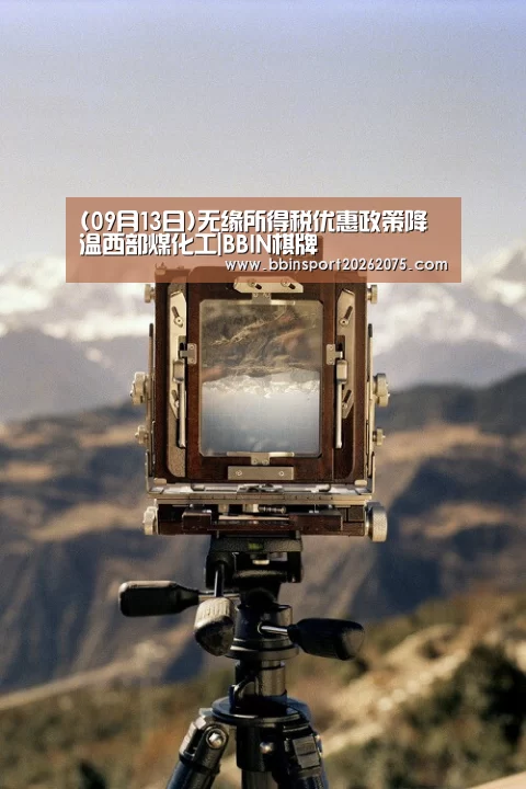(09月13日)无缘所得税优惠政策降温西部煤化工|BBIN棋牌